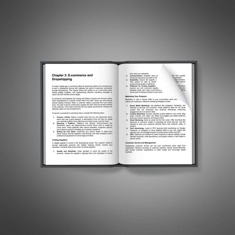 Extra Income Strategies - Image 3
