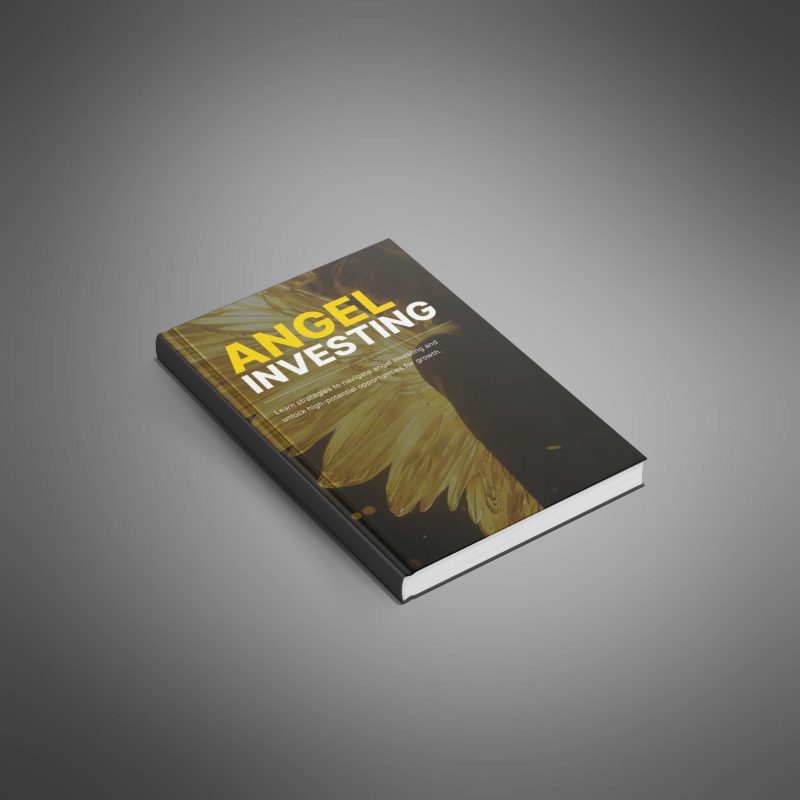 Angel Investing - Image 4