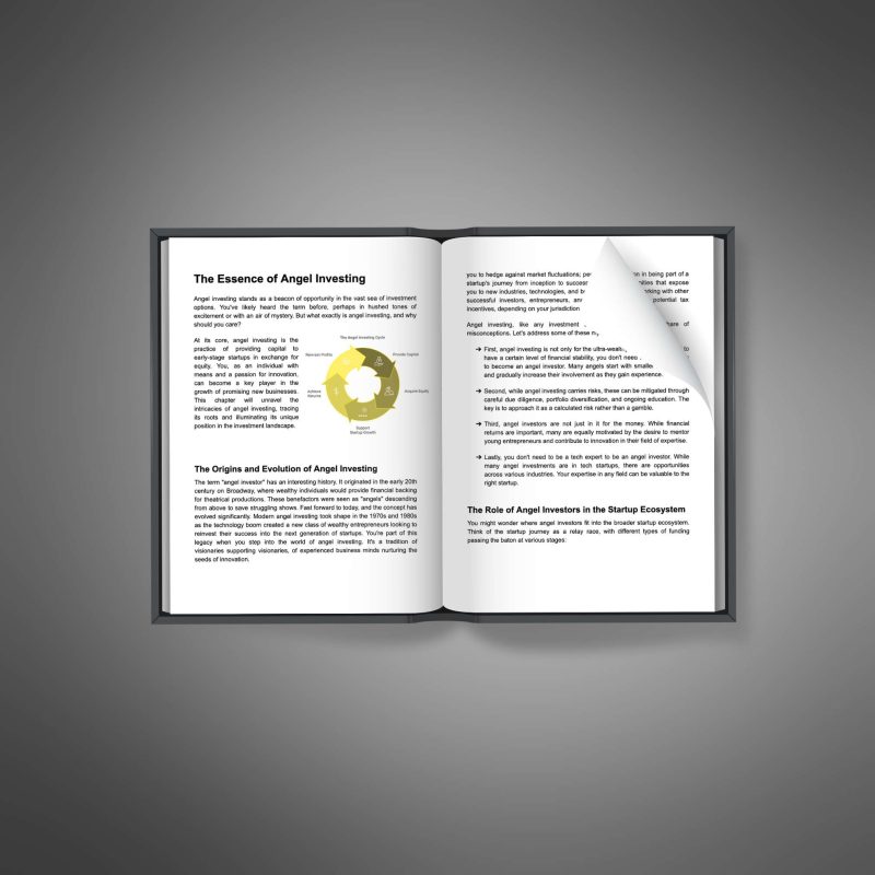 Angel Investing - Image 3