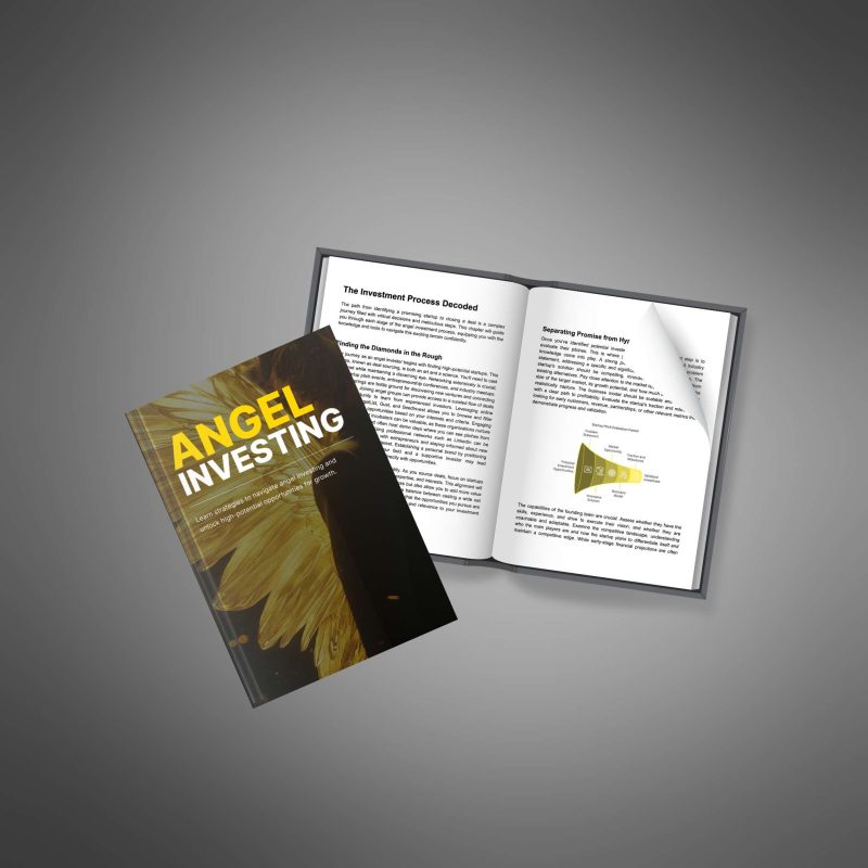 Angel Investing - Image 2