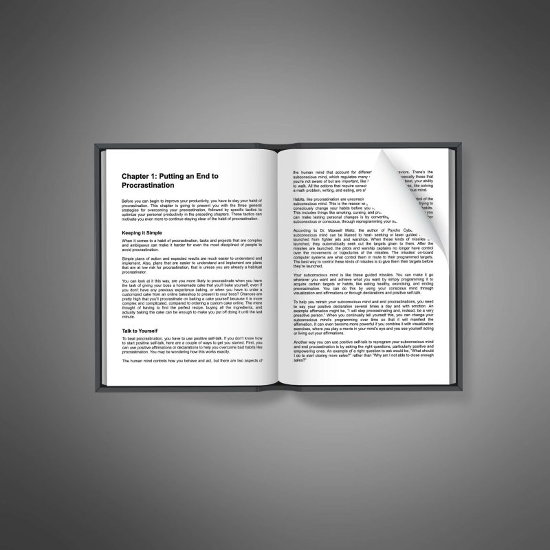 Conquer Procrastination - Image 3