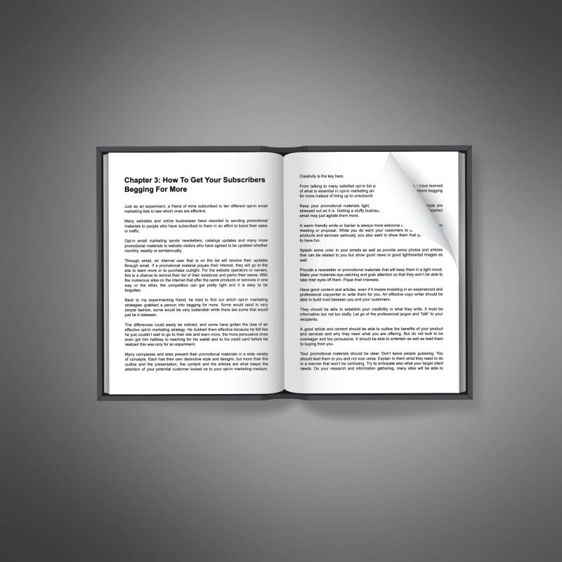 Email Marketing Influence - Image 3