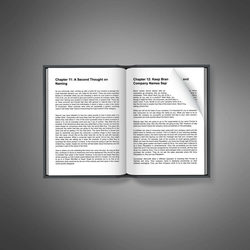 Essential Business Branding - Image 3