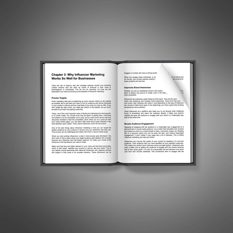 Influencer Marketing Mastery - Image 3