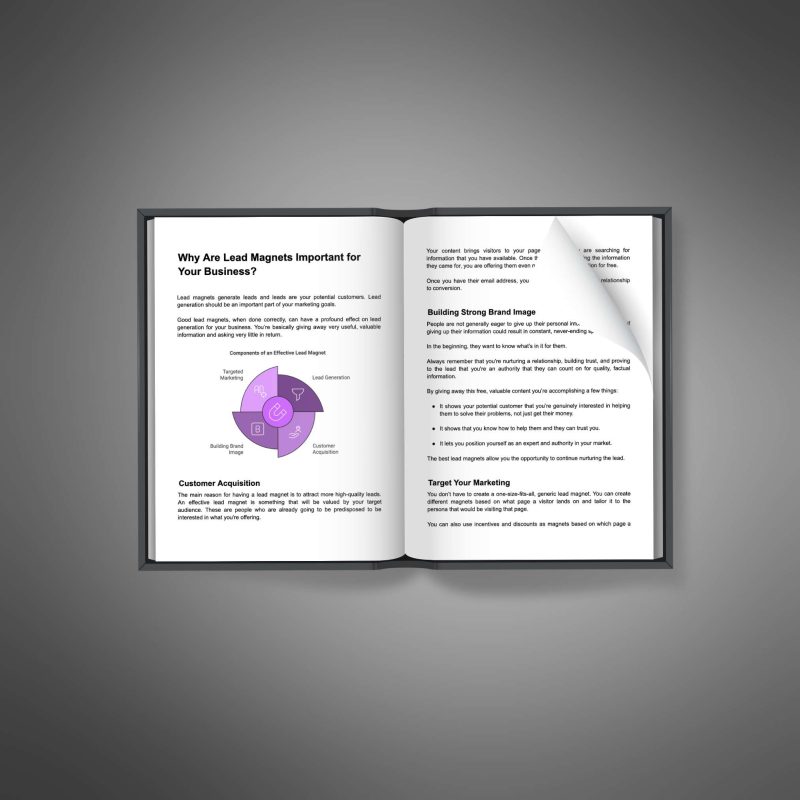 Lead Magnet Conversions - Image 3