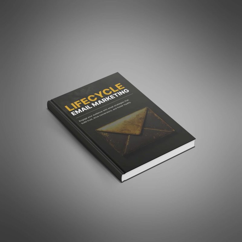 Lifecycle Email Marketing - Image 4
