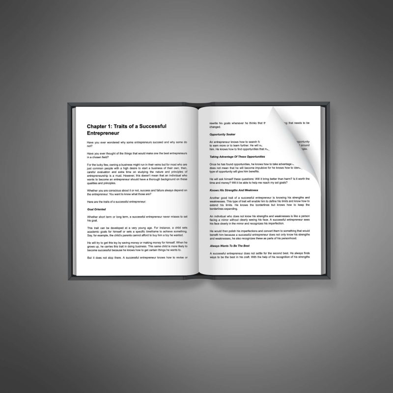Powerful Entrepreneur - Image 3