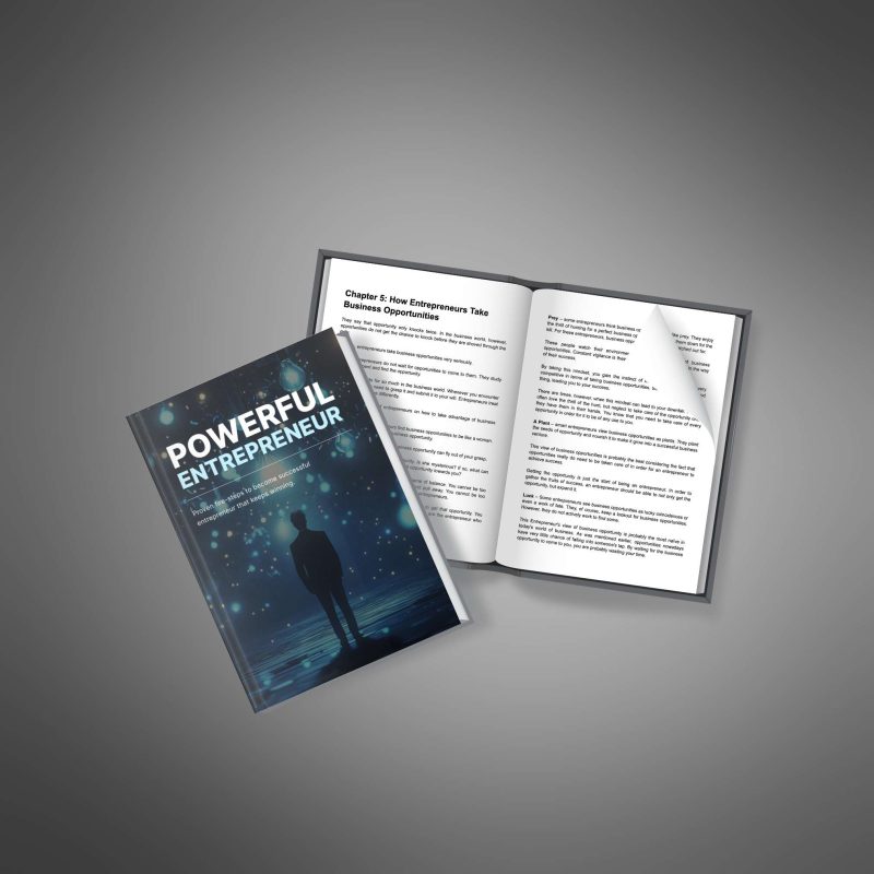 Powerful Entrepreneur - Image 2