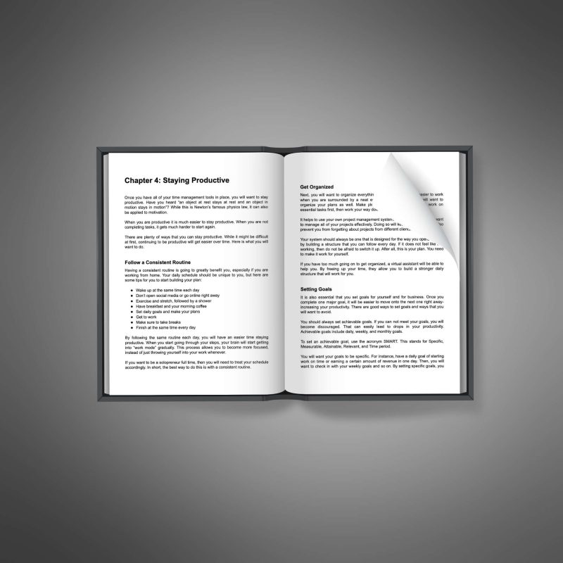 Solopreneur Success - Image 3