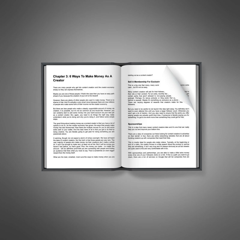 The Creator Economy - Image 3