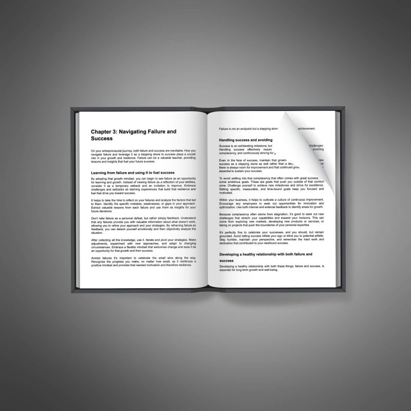 The Savvy Entrepreneur - Image 3